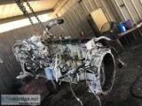 Diesel mechanic