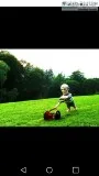 Lawn mowing