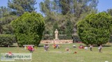 3 Companion Grave Plots For Sale