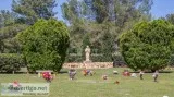 3 Companion Grave Plots For Sale
