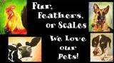 Folsom Studio 630 Paint Your Pet