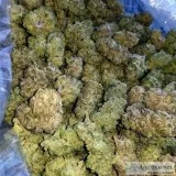 Indoor Top Shelf strains (no Greenhouse or Light Dep)