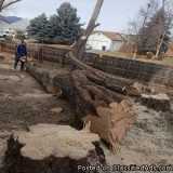 Lind Legacy Tree Service