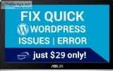 Fix Quick WordPress Issues just 29 Only