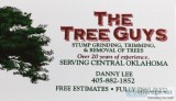 TreeGuys Tree Service