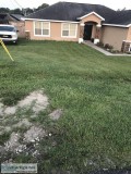 Lawn care service
