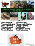 FULL TREE SERVICE REMOVALTRIMMING GRINDING LOT CLEAR DIRT WORK