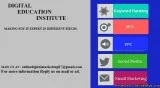 Website Hosting SSL Domains Services