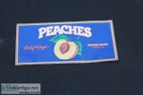 CAPRICORN RECORDS PEACHES STICKERPHIL WALDENVINTAGEMACON GAPICK 