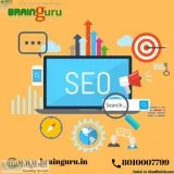 Best Seo service in Delhi-NCR  Brainguru technologies
