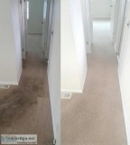 Need Clean Carpets Carpet Shampooing Services
