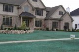 Contact Us Today-Every Home Deserves A Bluegrass Lawn