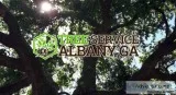 A to Z Tree Care