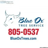 Tree Removal Cost Lincoln NE