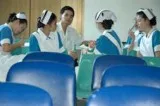 Volunteer Work Abroad Free Travel