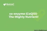 CoQ10-The Mighty Nutrient
