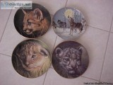 Princeton Gallery Big Cats Plates