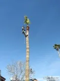 JandR Landscaping-tree service-yard maintenance- rock spreading