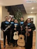 Mariachi Nuevo Tesoro