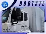 AFFORDABLE BOBTAIL FOR SALE