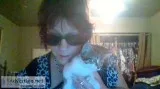 12 Ragdoll 12 Toger Kitten 10 weeks girl