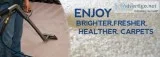 Carpet Shampooing Services in Chandigarh