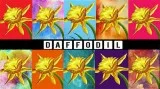 Folsom.Studio 428 Daffodil  Only 30