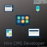 Hire CMS Developer