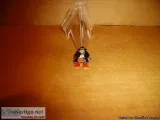SASS Collectibles