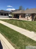 Lawn care and tree services