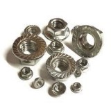 Buy Flange Nuts Manufactured in India