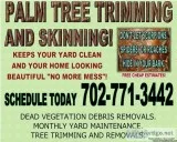 PALM TREE SKINNINGNo More Mess No More Scorpions