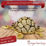 Buy Divya Mantra Bejeweled Wish Fulfilling Tortoise