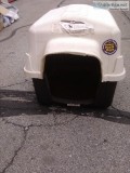 Small dog house