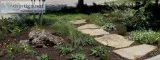 Drought Tolerant Landscaping Free quotes
