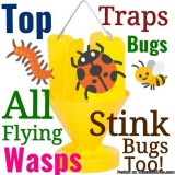  Japaneese  Beetle Bug Traps  various sizes and Styles and Shape