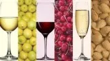 Build an online empire referring Fine Wine