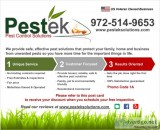 Pestek Pest Control - No Contracts - Veteran Owned