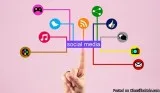 Social Media Management Services in Miami Firstimageus.com
