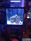 60 gallon cube Reef Ready with reef led