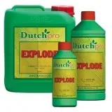 Dutch Pro Explode  Grow-world.co.uk