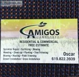 Amigo&rsquos Landscape