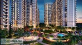 Live a royal life with Samridhi Luxuriya Avenue Noida 9278057805