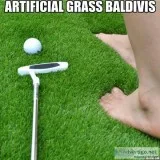 Fake grass in Baldivis by Looks like Grass
