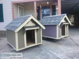 new dog houses