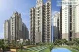 Live an ecstatic life in Ace Parkway Noida 9278057805