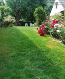 Lawn Mowing andYard Maintance