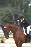 Equestrian Centre Spalding  Kruger Equestrian