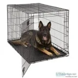 Dog training kennel