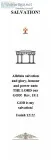 E-BOOK &quotSALVATION&quot 